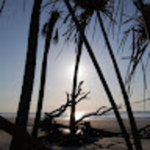 Meet your Posher, Yvonne